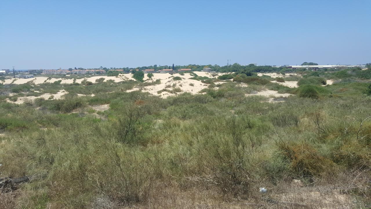 Neot Golf Caesarea Garden Apartment Εξωτερικό φωτογραφία