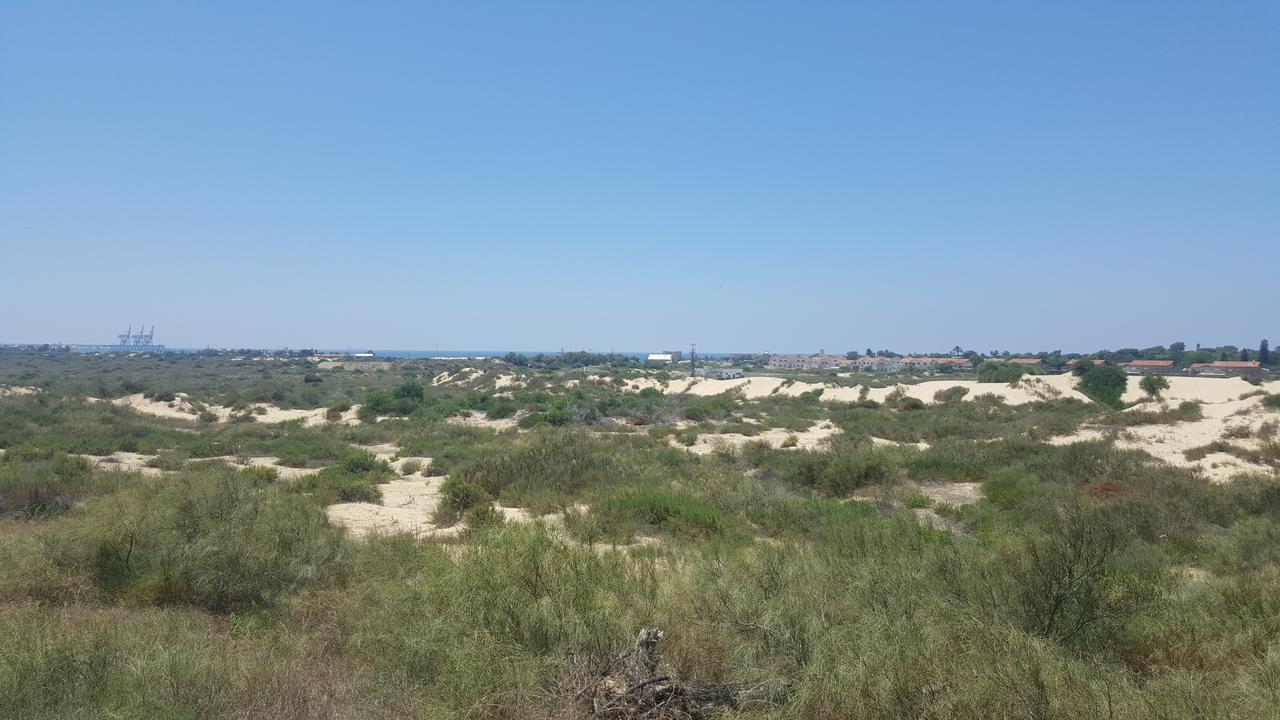 Neot Golf Caesarea Garden Apartment Εξωτερικό φωτογραφία